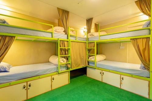 Big Tree Hostel