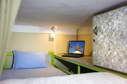 Big Tree Hostel