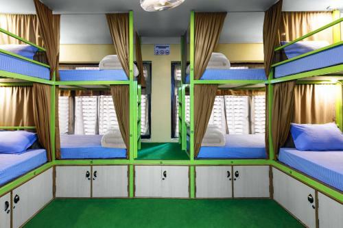 Big Tree Hostel