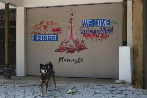 My Friend's Hostel