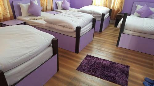 Bed & Breakfast Bnb Royal Tourist House