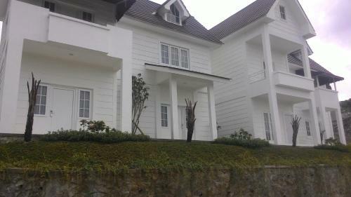 Posada Amaranta Guest House