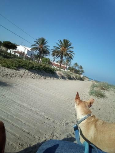 Apartamento El Rinc�n de Denia - Paraiso Del Sol