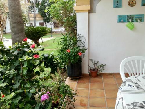 Apartamento El Patio de Denia Alojamiento Vacacional
