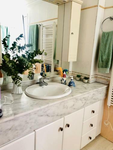 Brisas Del Montg�