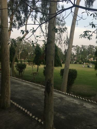 Apartment Near Shaukat Khanum
