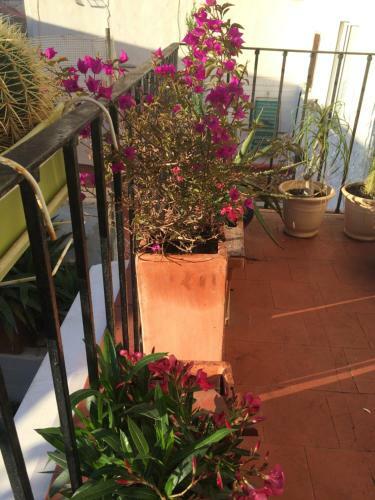 Apartamento Denia Townhouse