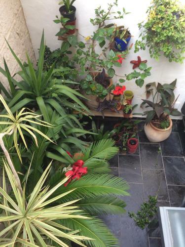 Apartamento Denia Townhouse