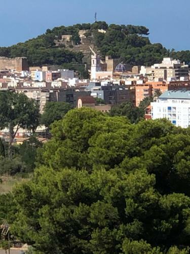 Apartemento Monika Monte Pedrera C 4 Top Aussicht