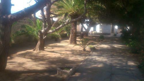 Villa X