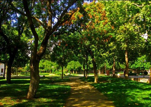 Hotel Park