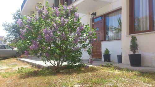 Hotel Pension Sakis