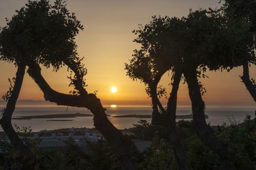 Apartamento Paros Butterfly Villas
