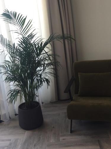 Hostal Nikos Rooms