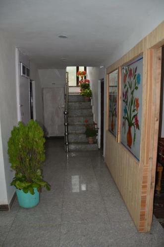 Hotel Chinar Palace
