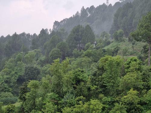 Bed & Breakfast Srinagar Homes
