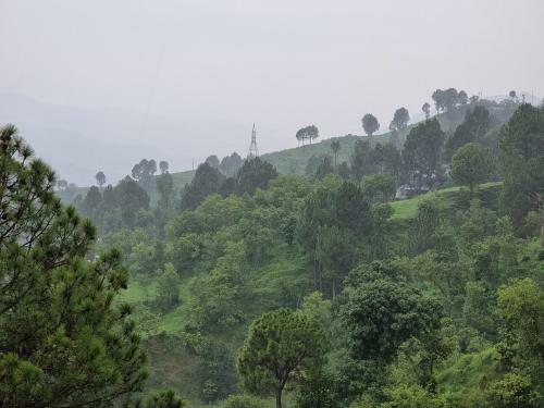 Bed & Breakfast Srinagar Homes
