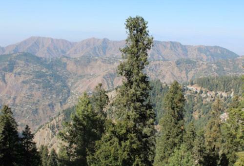 Hotel Faran Murree