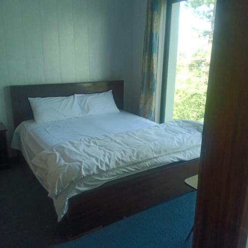 Hostal Alvadi Hotel