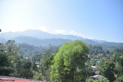 Hostal Mountain Top Guest