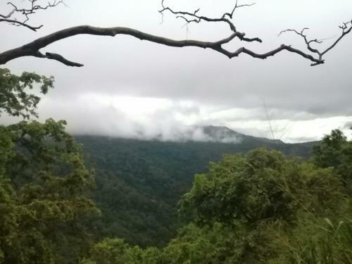 Blue Mountain Range - Holiday Bunglow