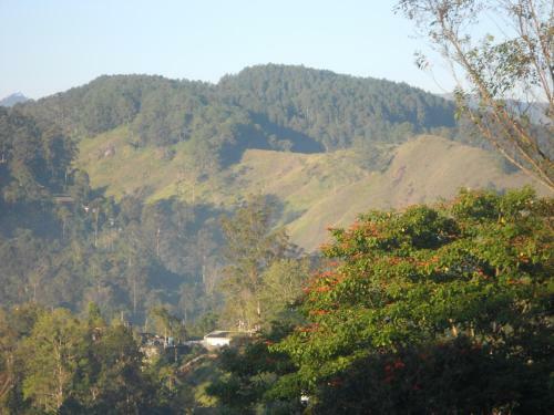 Nelson Grand Boutique Hotel