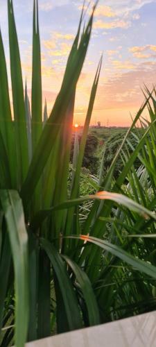 Apartamento The Sun Set View Villa
