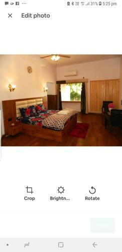 Bed & Breakfast The Ficus