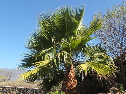 Agroturismo Casa Rustica