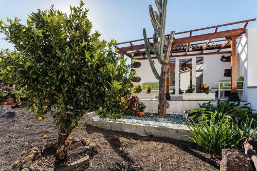 Bungalow Los Laureles