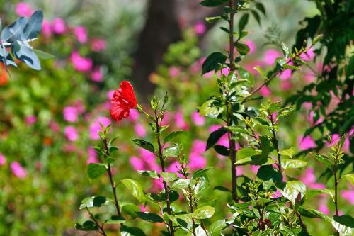 Casa Esther