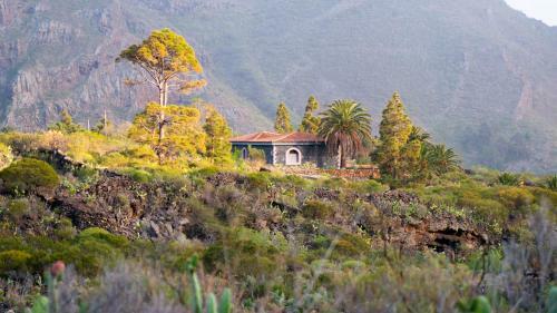 Villa Luxus Finca In Der Natur Mit Pool