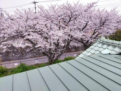 Hostal Guesthouse Sakichi