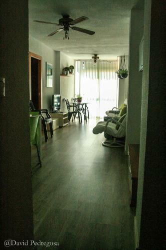 Apartamento Edificio La Isla