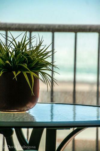 Apartamento Edificio La Isla
