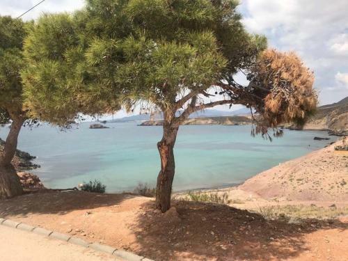 Apartament Claudia I