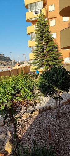 Apartamento En Residencial Tranquilo