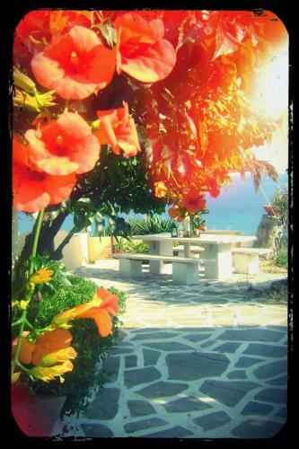 Apartamento Villa Olga