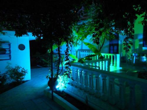Iris Apartments