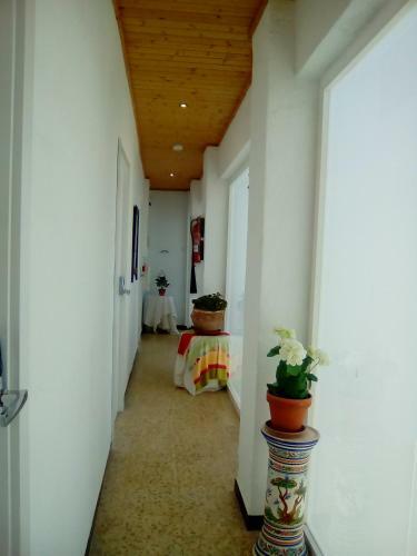 Hostal Rocio Rooms