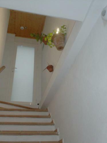 Hostal Rocio Rooms