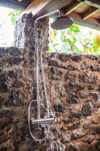 The Villa Rossi Ubud
