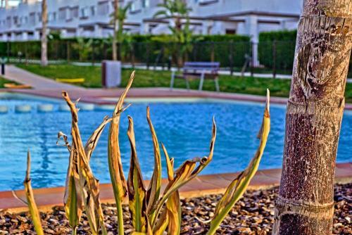Apartment N600