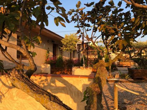 Las Terrazas, La Casita Del Herrero