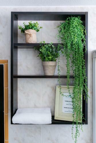 Apartamento Hotel Ventus