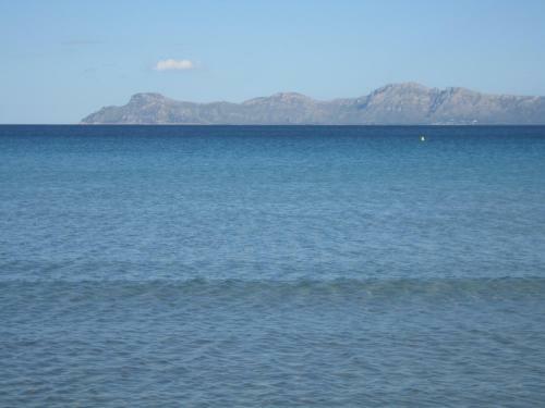 Carrasqueta