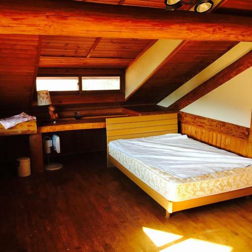 Nagano-log House