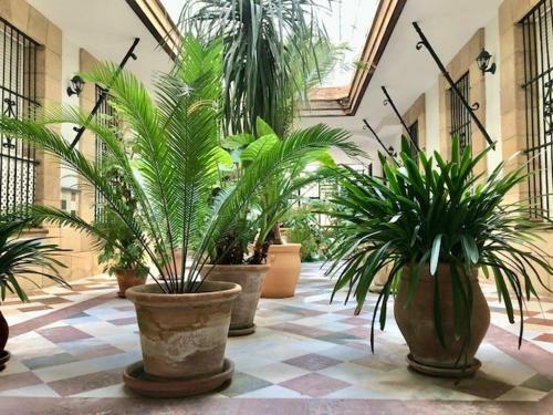 Apartamento Gatu La Posada Del Mercado