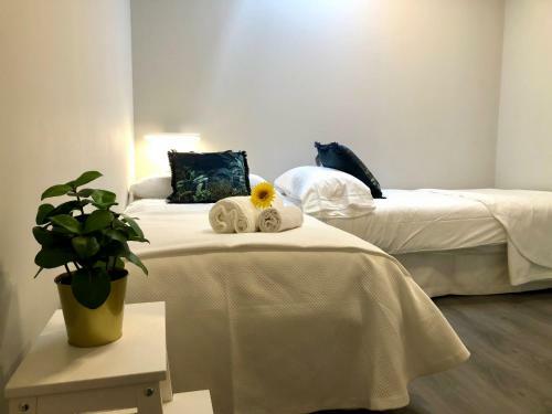 Gatu La Casa Del Arco Con Wifi, Aire Acc, Terraza