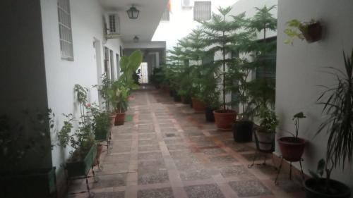 Apartamento Cielos 57